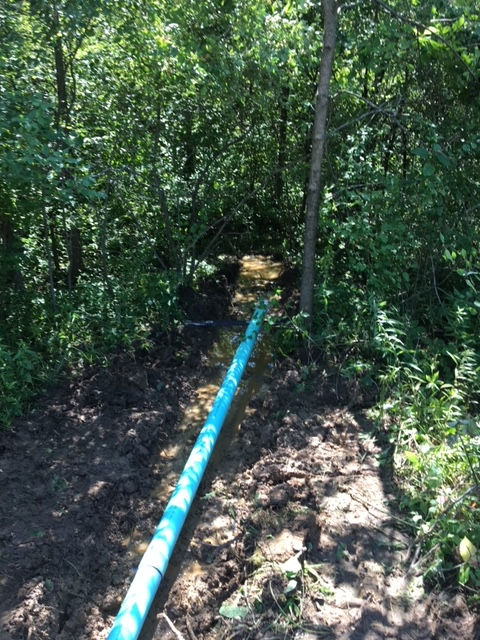 A blue pipe lies in a narrow, muddy trench dug through a wooded area with trees and ground vegetation.