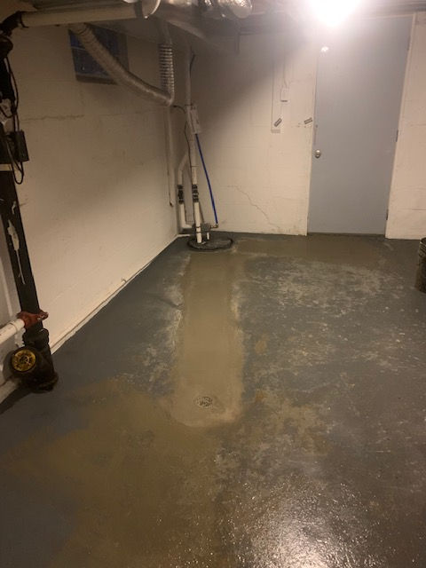 Basement corner showing gray concrete floor with a freshly patched cement trench leading to vertical utility pipes.