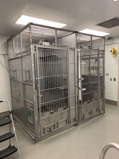 Two large, stainless steel kennel enclosures with wire mesh tops in a bright, institutional room.
