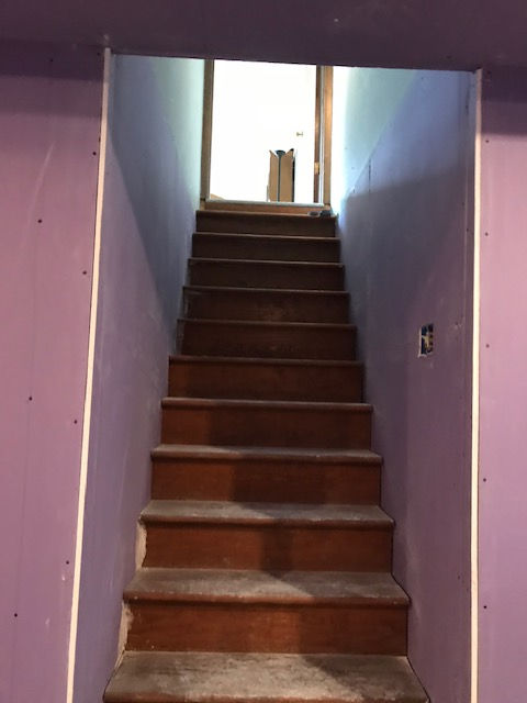 A straight wooden staircase leads up to a bright doorway between purple-walled interior spaces.