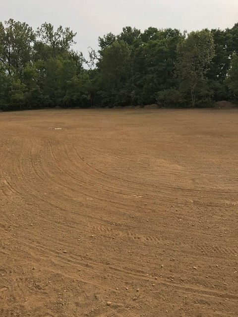 A freshly tilled, wide dirt field with circular track marks, bordering a dense line of green trees under a hazy sky.