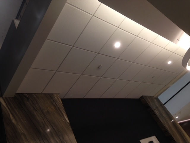 A grid ceiling featuring recessed LED lights above a dark accent wall with marble-patterned trim.