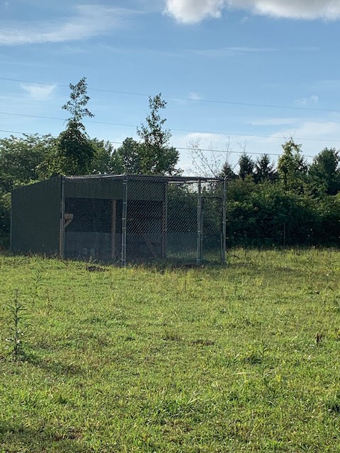 An outdoor animal enclosure with a solid dark wall on one side and wire fencing on the front, set in a grassy field.
