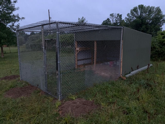 A chain-link dog kennel with a green covered shelter section stands in a grassy field under a cloudy sky.