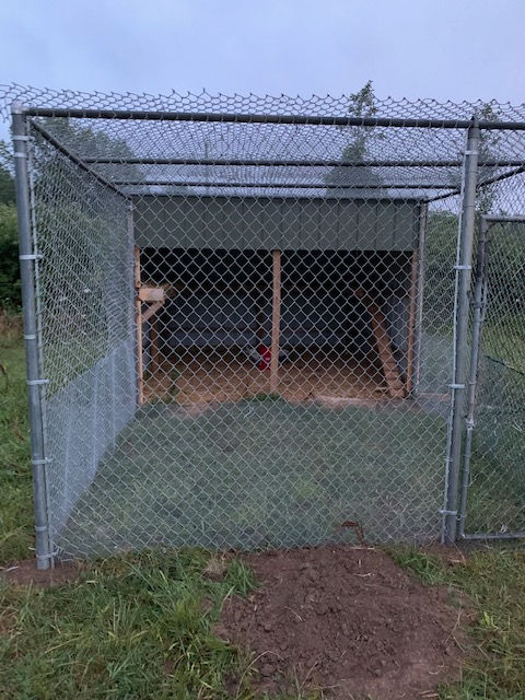 A wire-fenced outdoor animal enclosure with a wooden coop structure inside, set in a grassy yard under a cloudy sky.