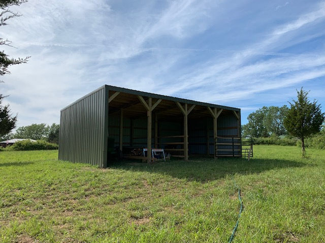 A green metal three-stall horse shelter stands in a grassy field under a sunny blue sky.