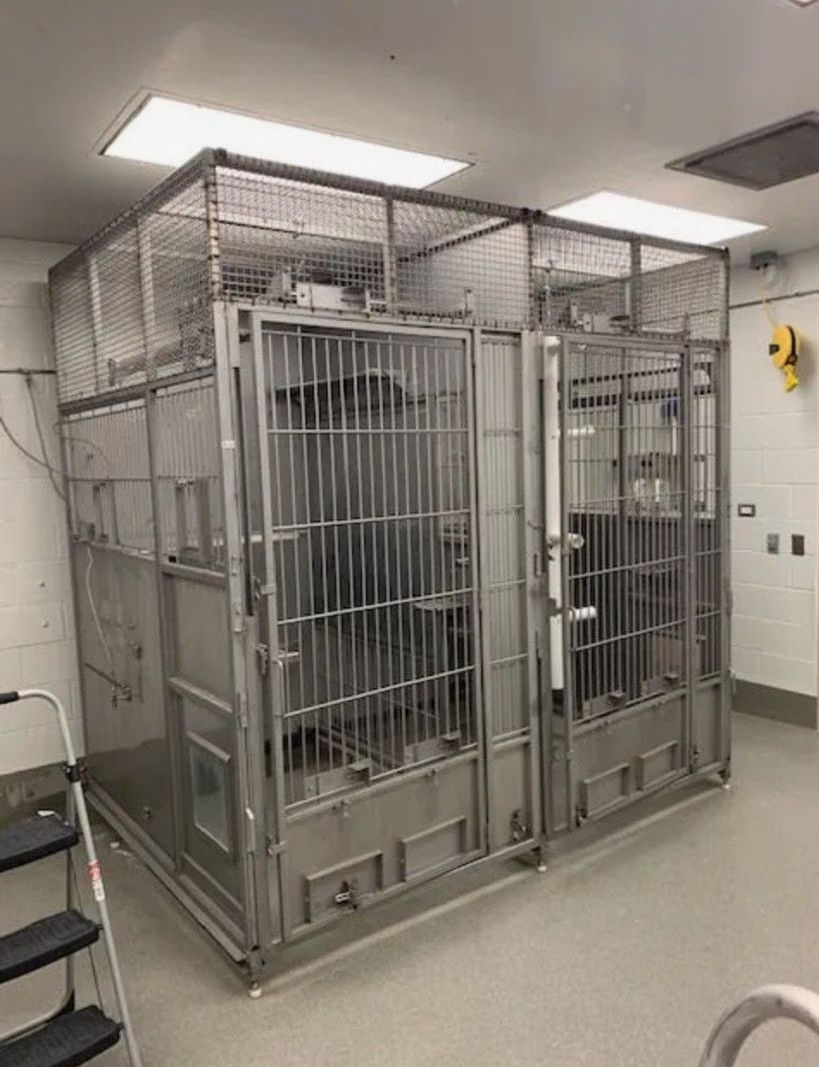A large, stainless-steel double enclosure with cage doors and wire mesh fencing, set in an indoor facility.