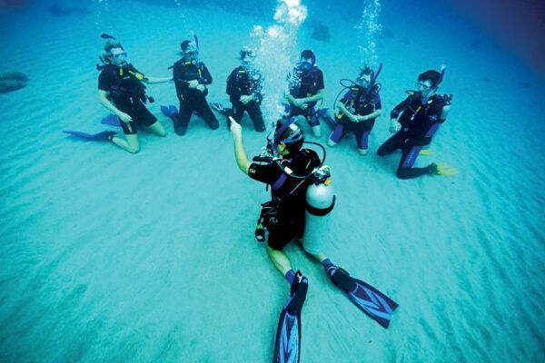 Buceadores bajo el agua, uno señalando, otros observando en el fondo marino arenoso.