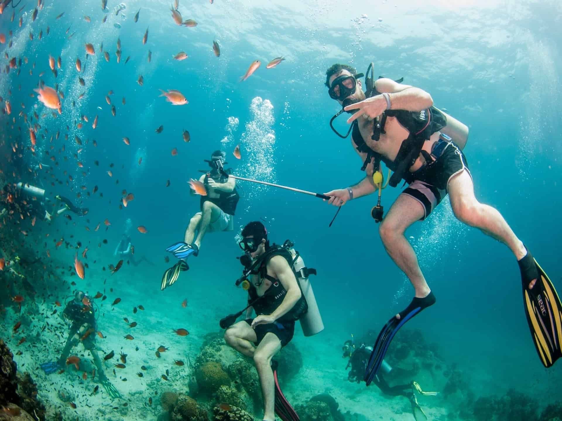 Los buceadores exploran bajo el agua, rodeados de peces y burbujas.