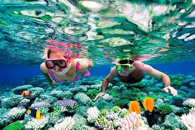 Dos personas practicando snorkel sobre un colorido arrecife de coral.