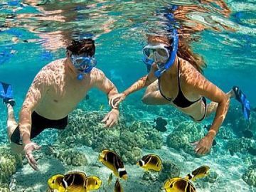 Pareja practicando snorkel en aguas cristalinas de color azul, tomados de la mano, con peces de colores nadando cerca.