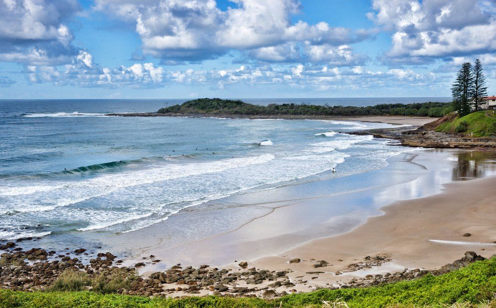 Beach — All Pest Solutions in Mid North Coast, NSW