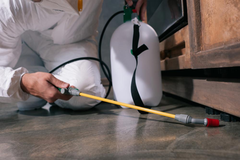 Pest Control Worker Spraying Pesticides On Floor — All Pest Solutions in Robina, QLD