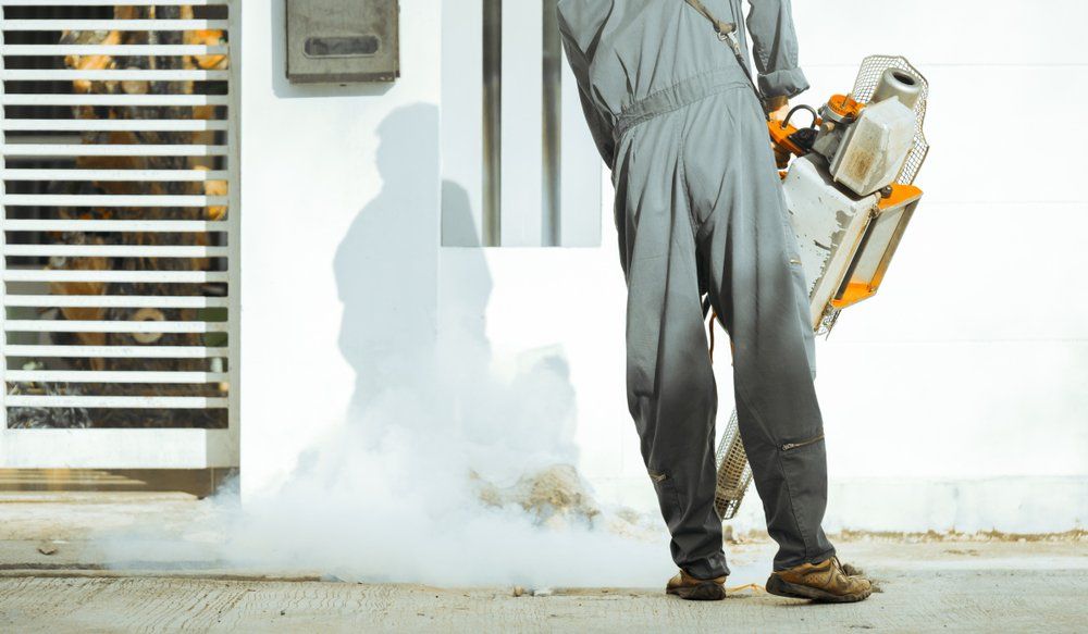 Fogging Machine For Mosquito — All Pest Solutions in Port Macquarie, NSW