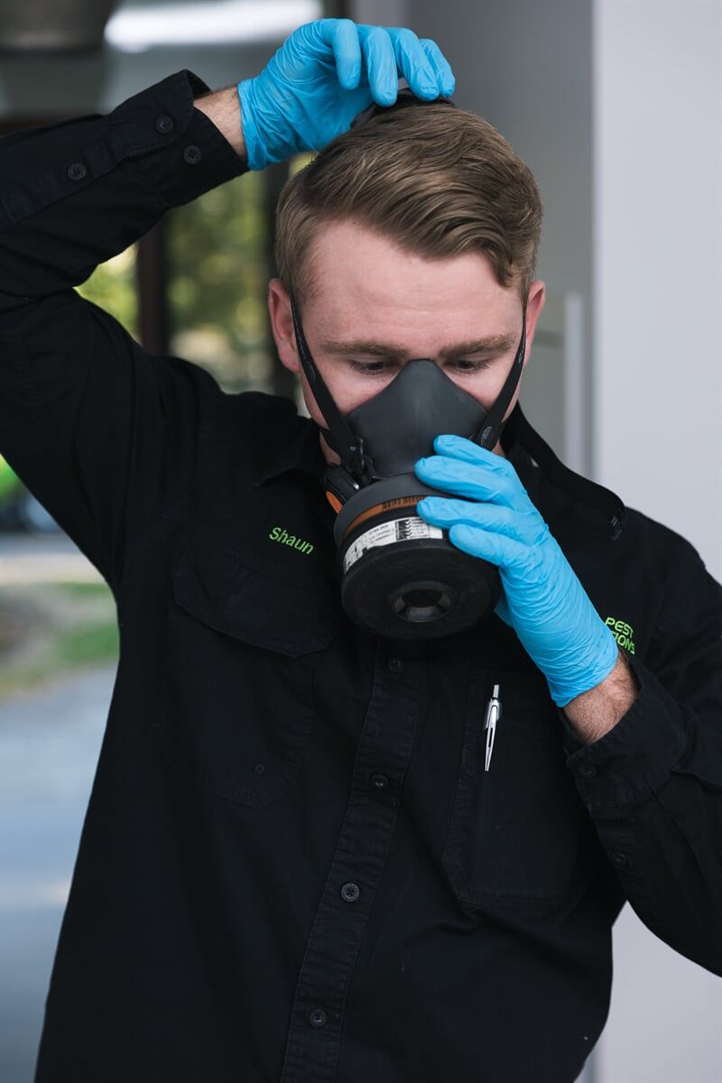 All Pest Solutions Professional Putting Pest Control Equipment On