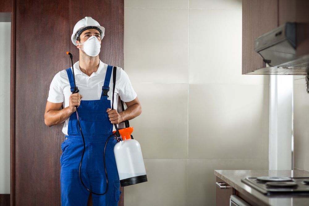 Front View of Pest Worker Spraying Standing in Kitchen at Home — All Pest Solutions in Mid North Coast, NSW