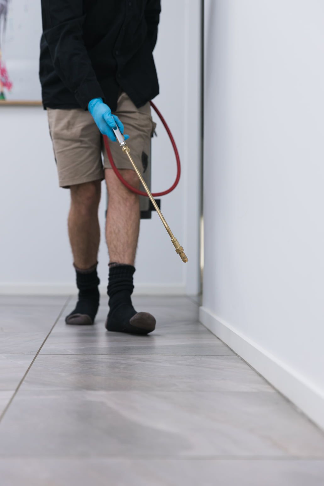 Fogging Machine for Mosquitoes in a Home — All Pest Solutions in Port Macquarie, NSW