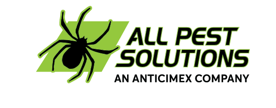 Pest Control & Termite Treatments Termite Bait