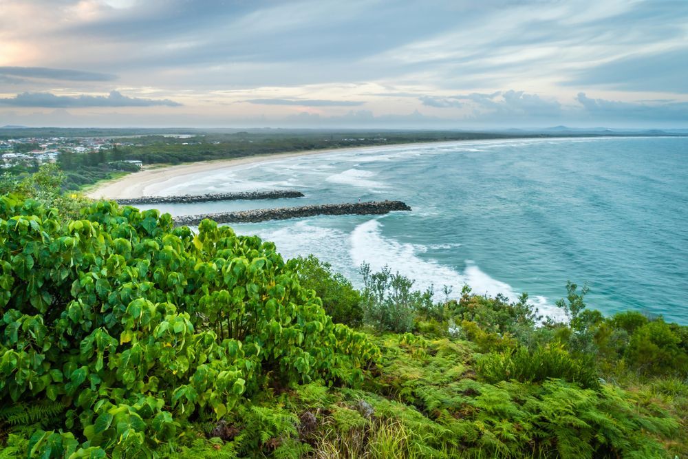 Ocean Coastline View From a Hilltop, Lush Green Foliage — All Pest Solutions in Evans Head, NSW