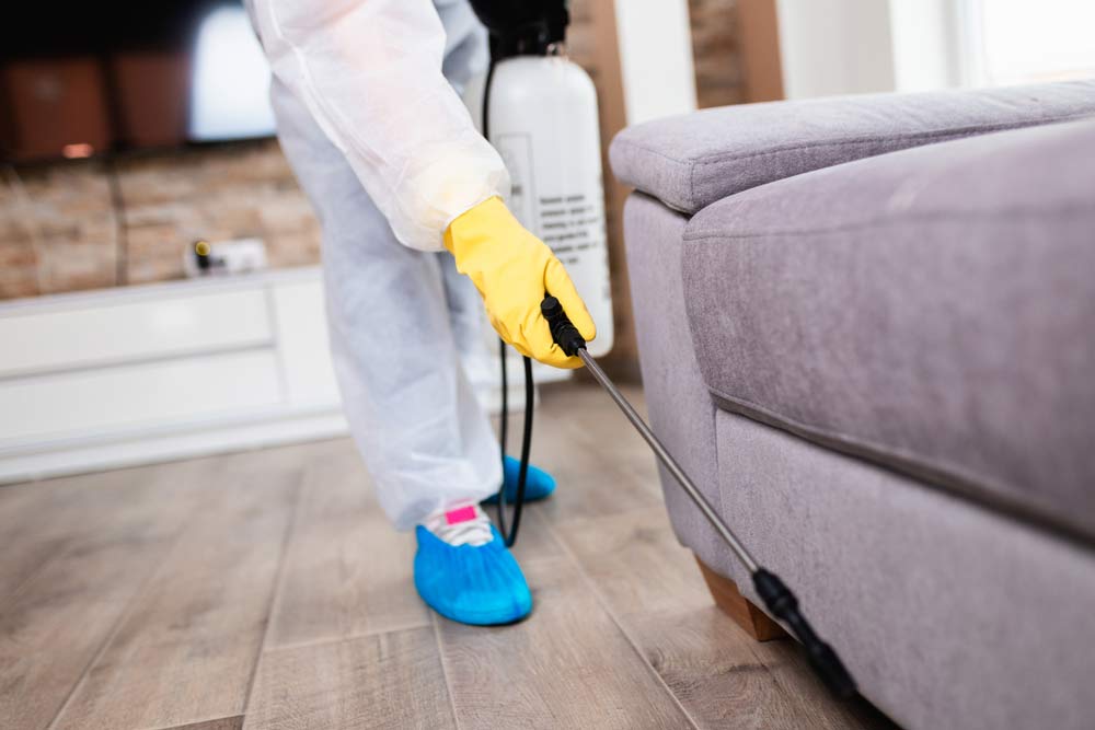 Exterminator In Work Wear Spraying Pesticide — All Pest Solutions in Mid North Coast, NSW