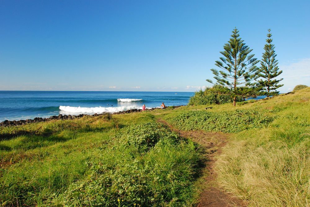 Grassy Path Leading to Ocean View With Breaking Waves — All Pest Solutions in Lennox Head, NSW