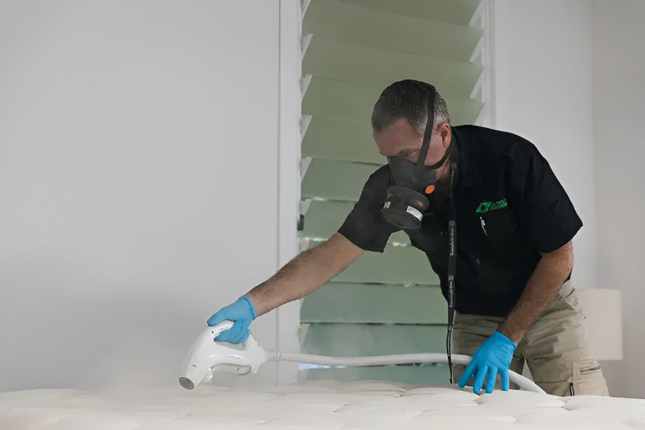 Professional Pest Control Ballina Mattress Treatment