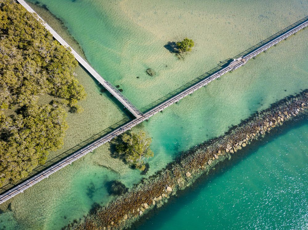 One Pier Connects to Mangroves — All Pest Solutions in Urunga, NSW