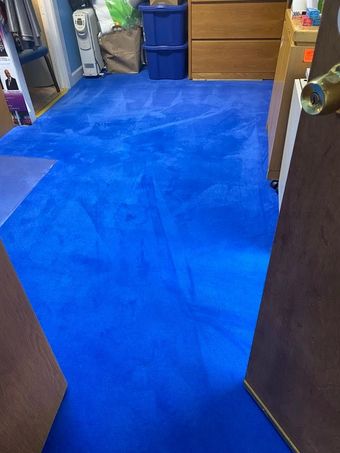 Blue carpeted hallway leading into a room with wooden doors and storage drawers.