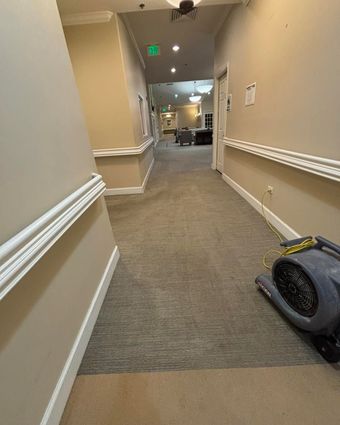 Empty beige hallway with gray carpet and a blue portable fan on the right side.
