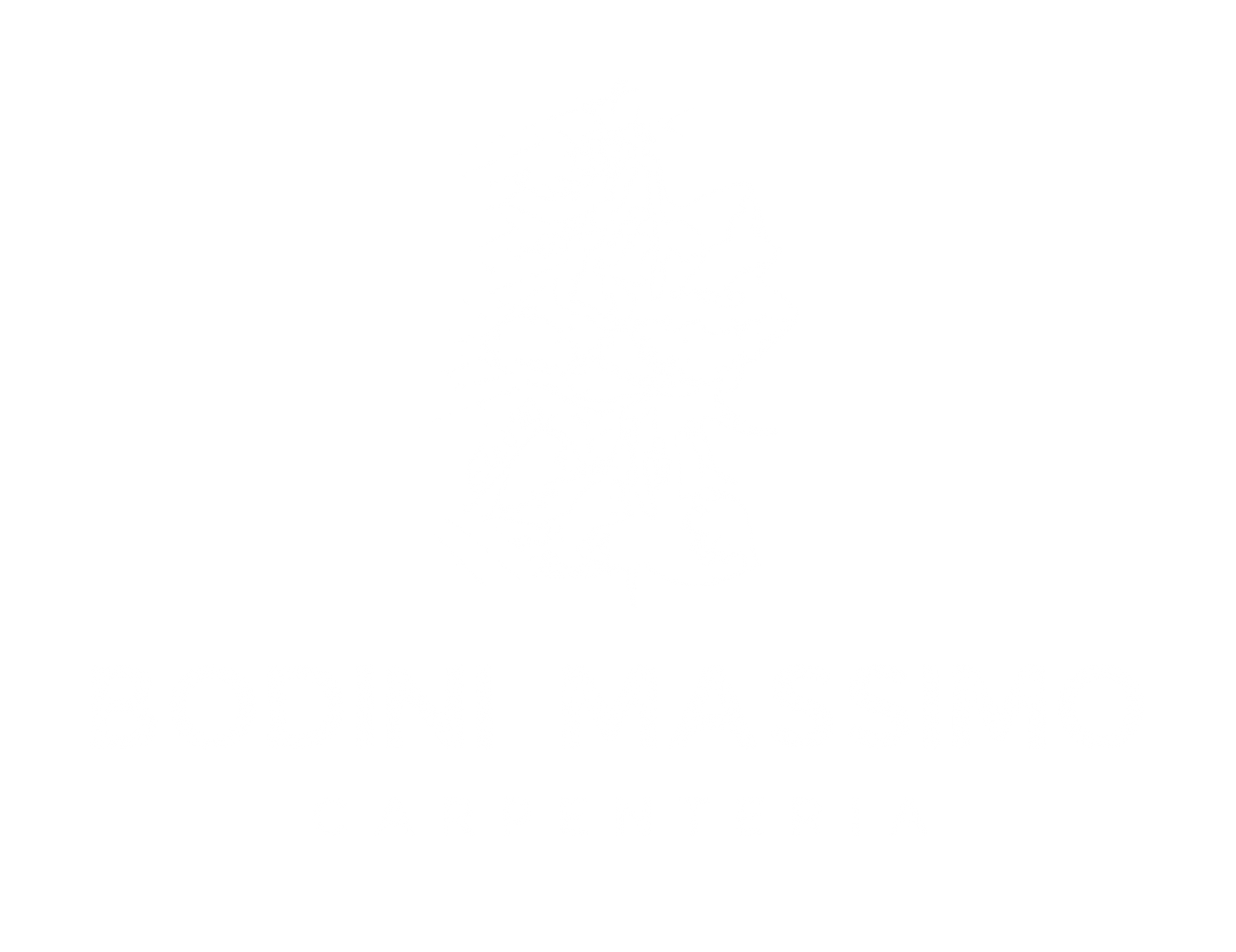 FABBRO BODINI MASSIMO - LOGO