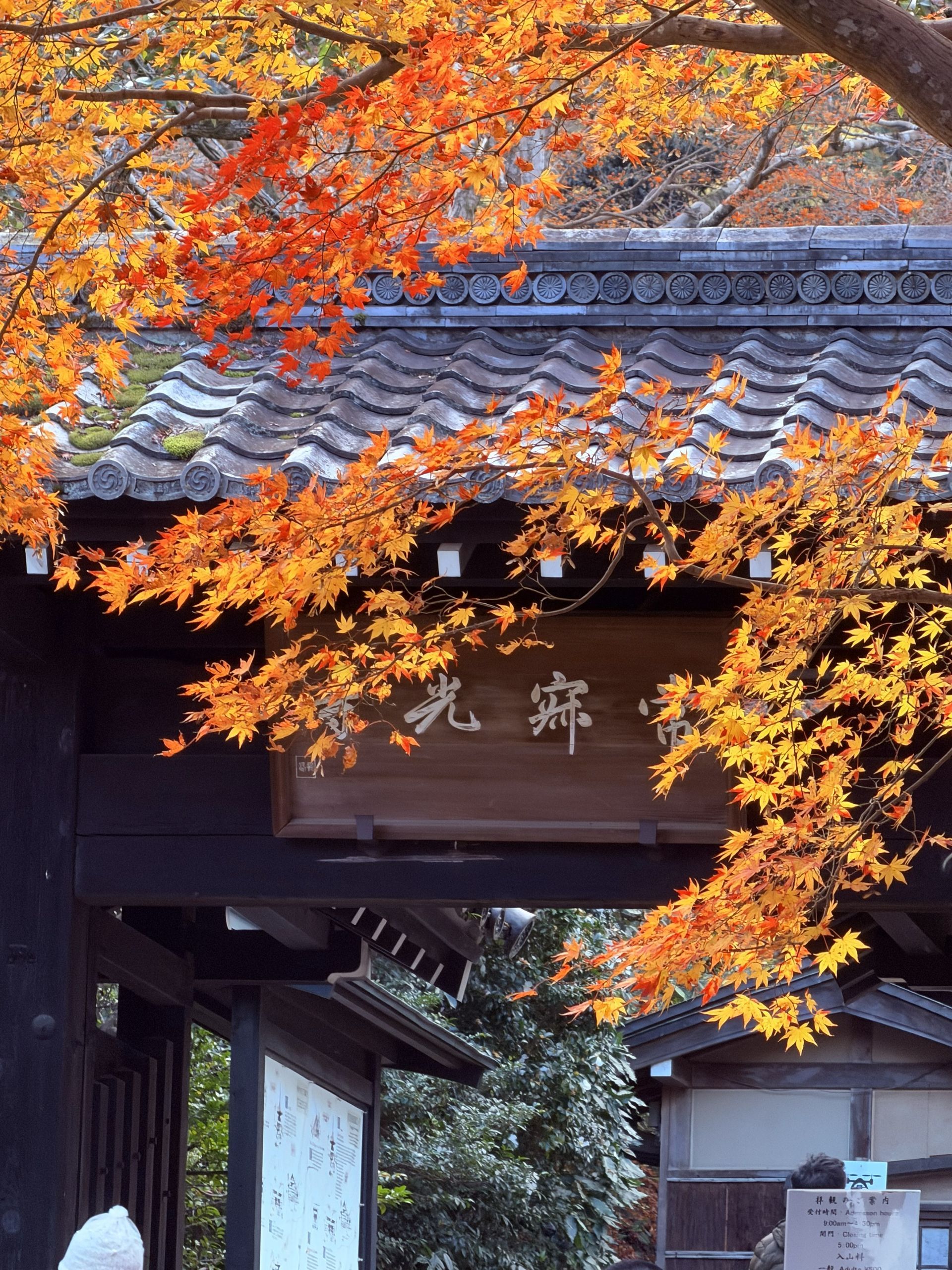 京都熟齡遊學-深度文化體驗