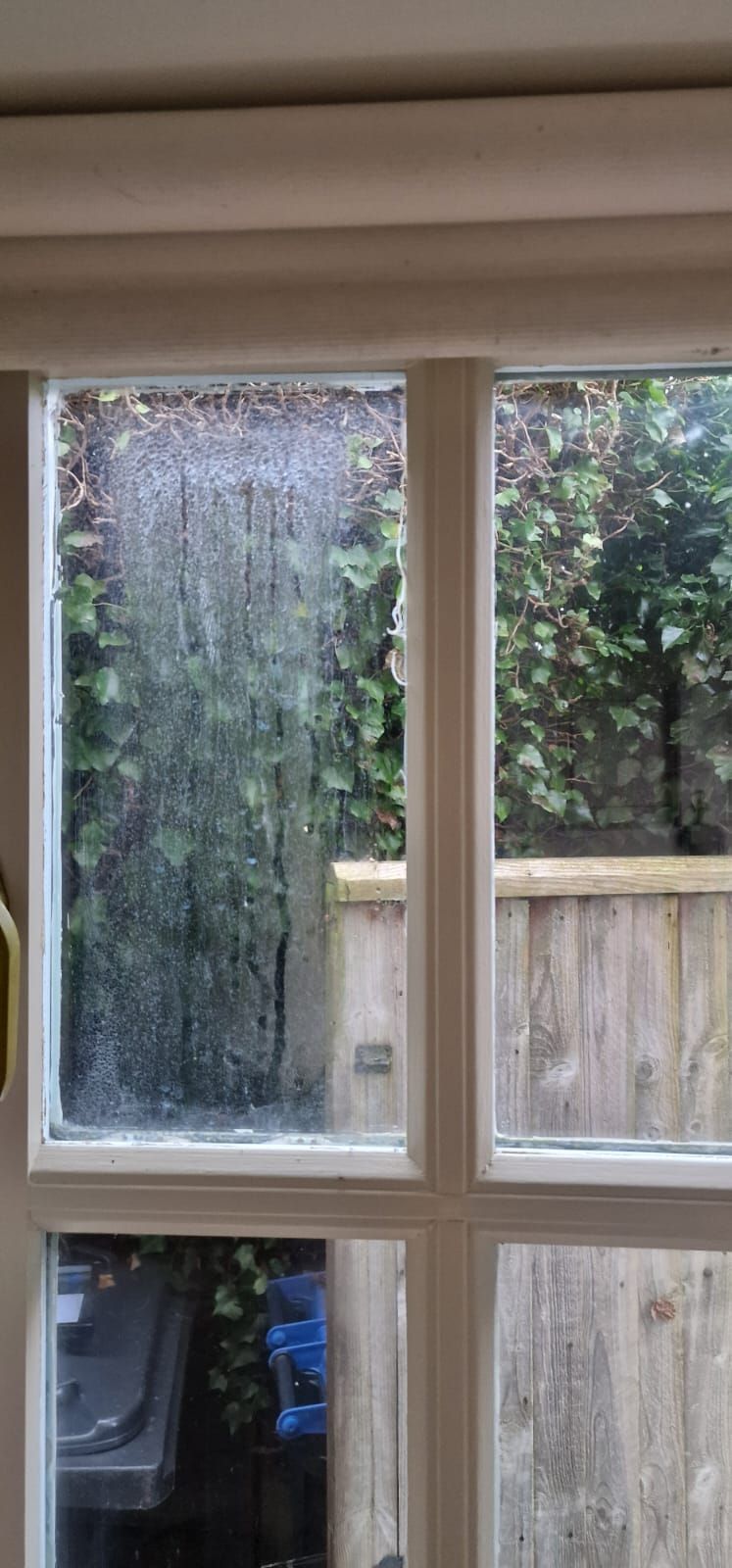 Window & Door Repair