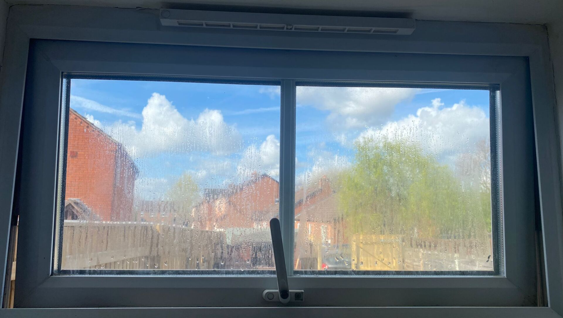 Misty Windows