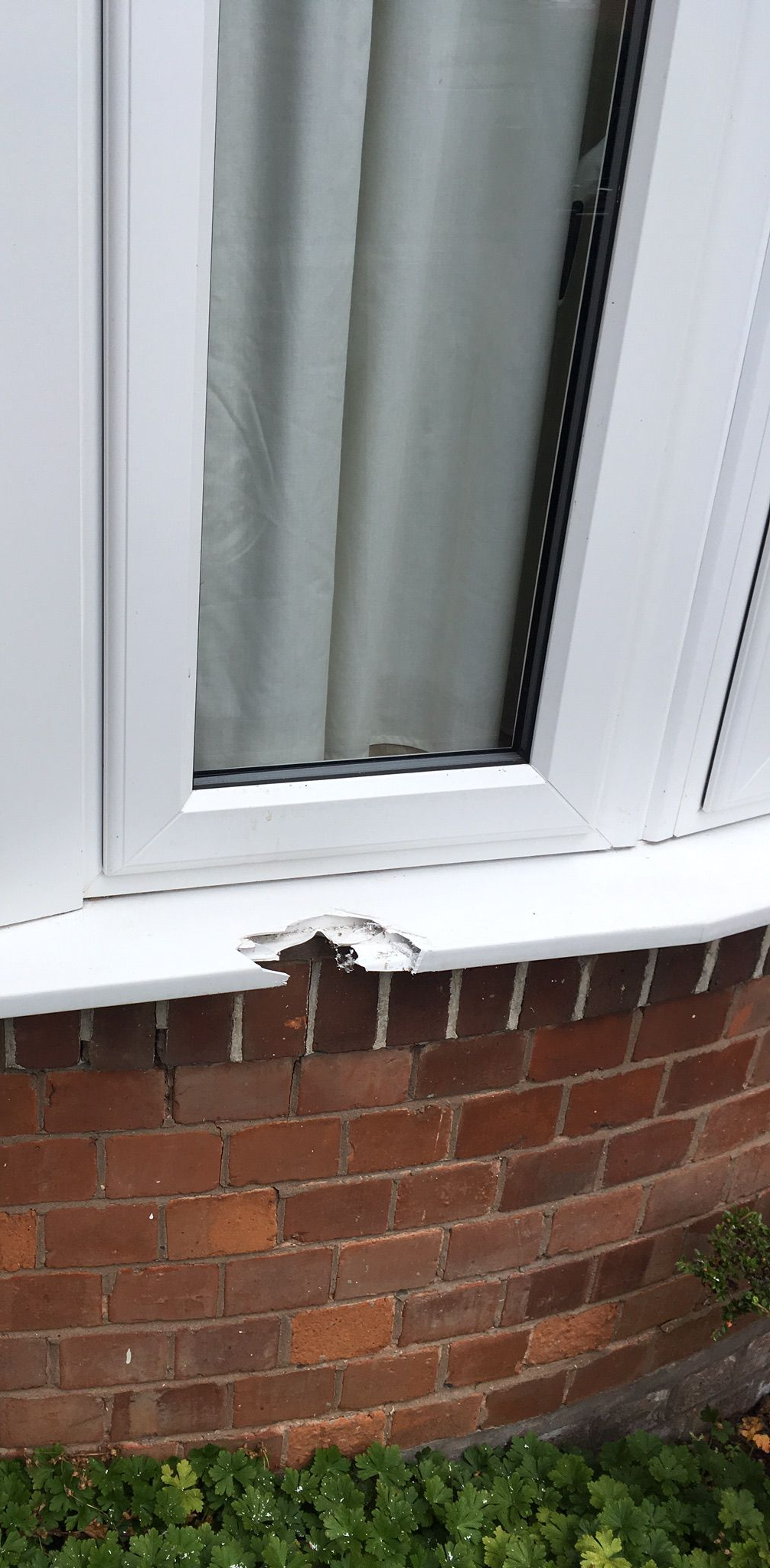 Window repair sill repair