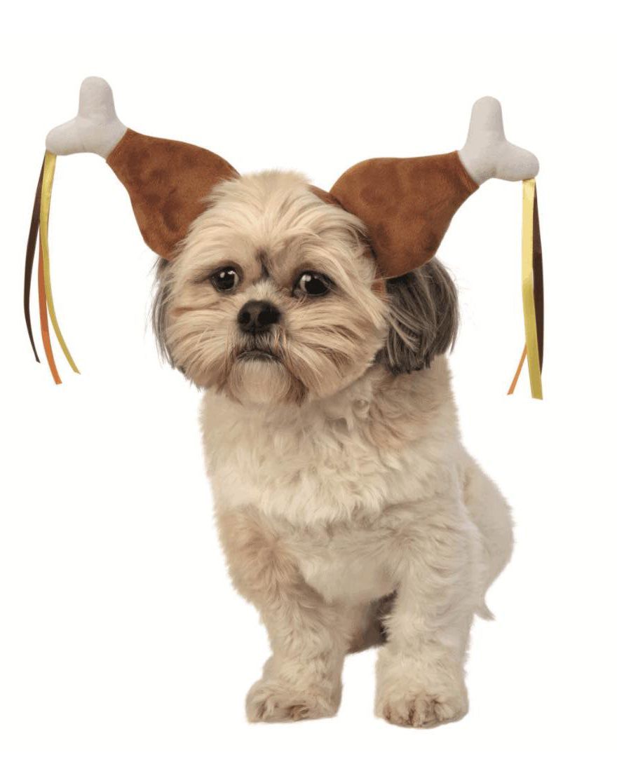 A small dog is wearing a turkey hat A small dog is wearing a turkey hat