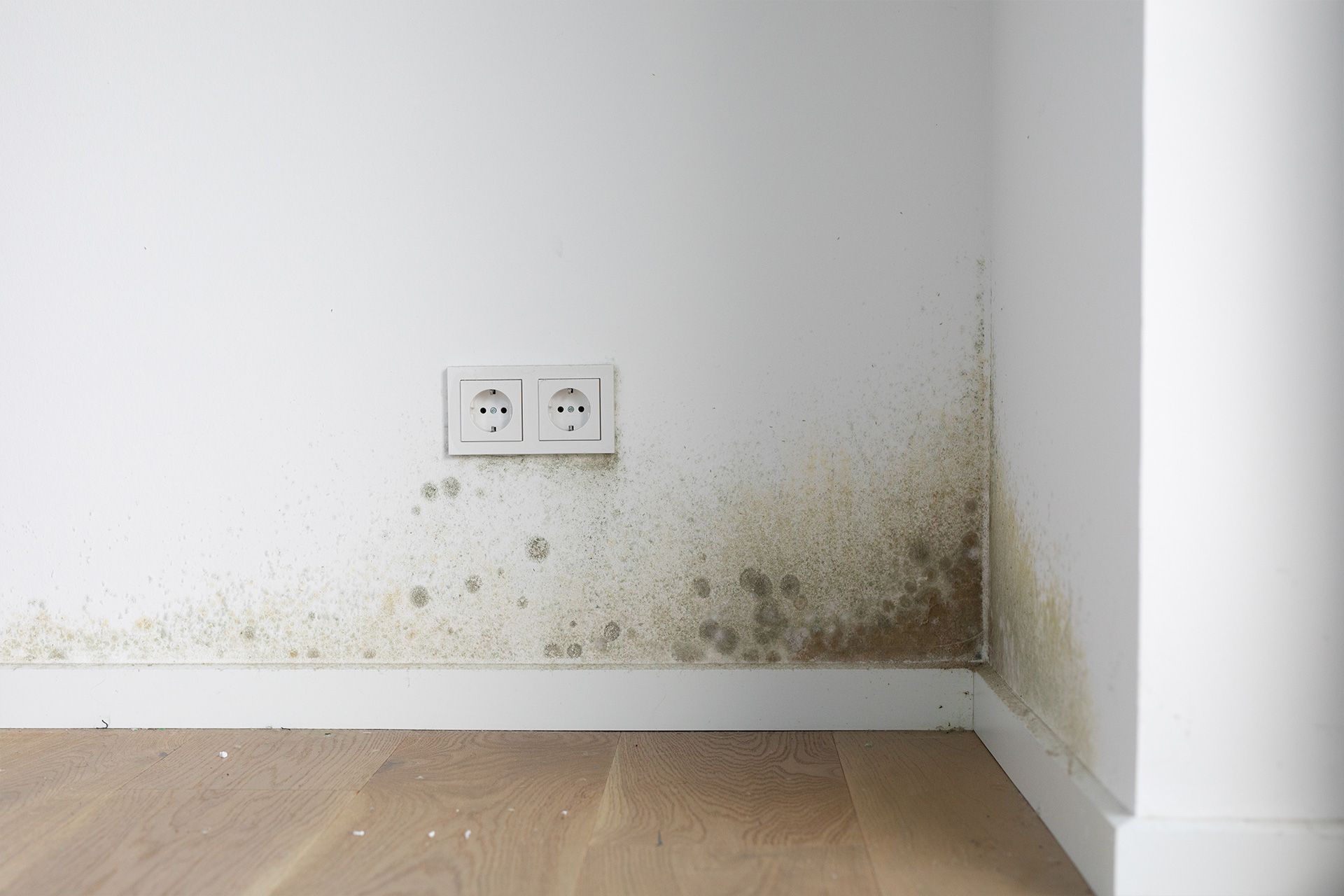Professional Home Inspection Services Charlotte NC