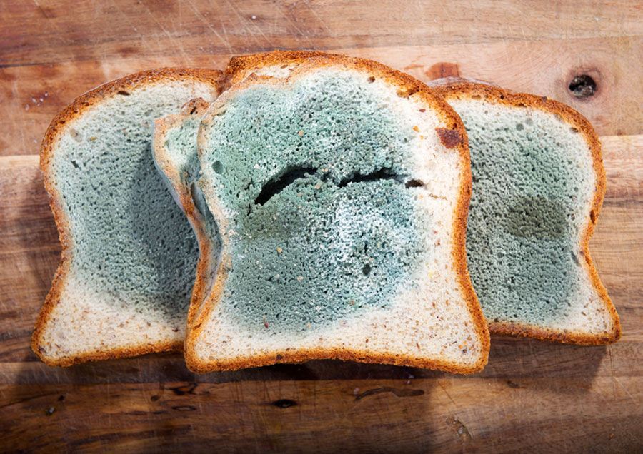 Three slices of moldy bread are sitting on a wooden cutting board.