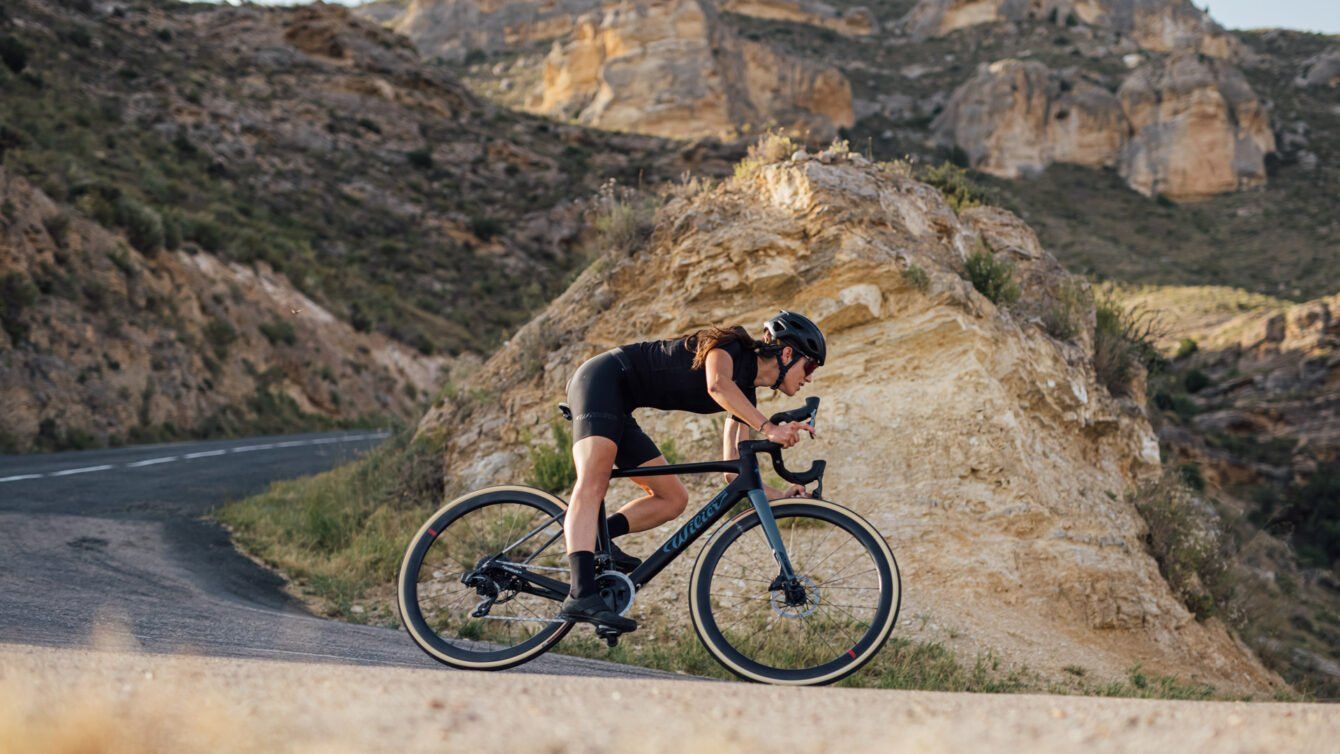 Wilier Rave SLR Downhill Road
