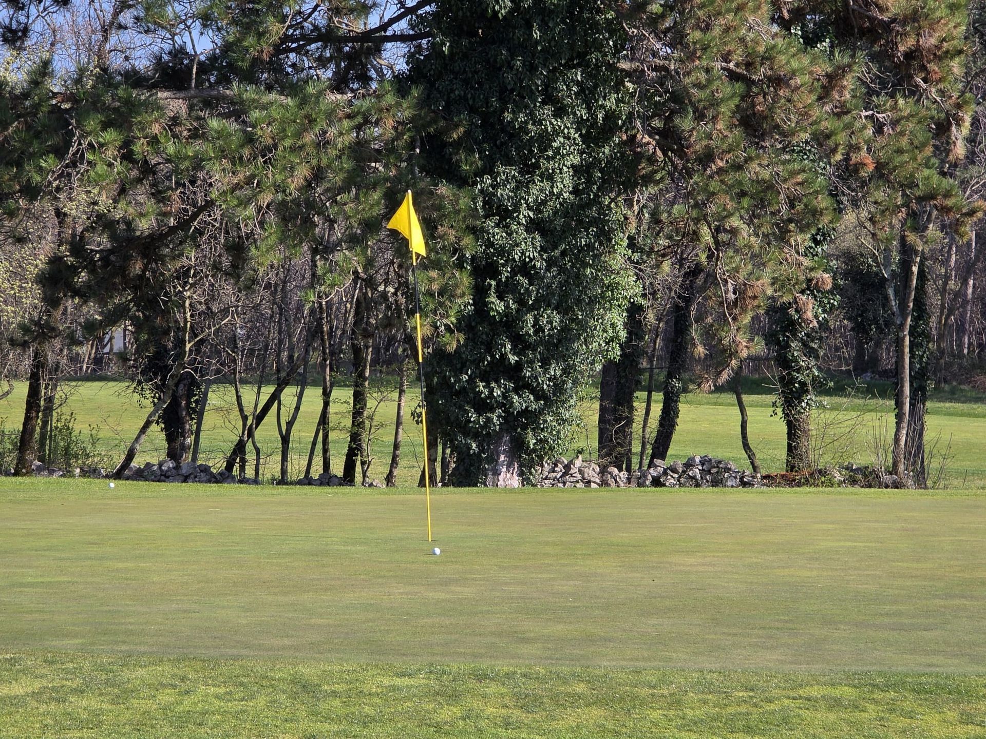 Campo da golf con bandierina gialla davanti ad alberi e un muro di pietra