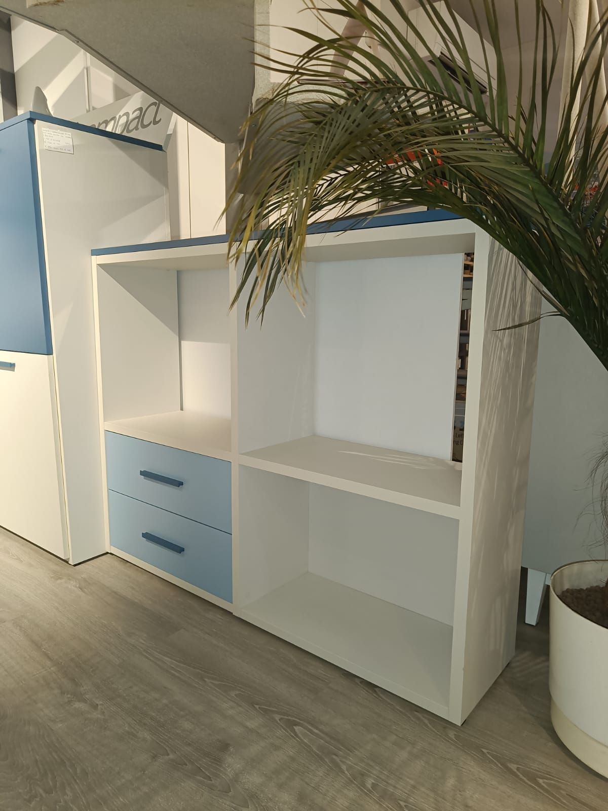 Scaffale bianco con cassetti blu in una stanza vuota, con una palma in vaso accanto.