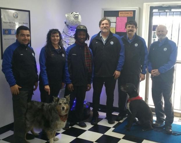 Gallery | Polar Bear Auto Care