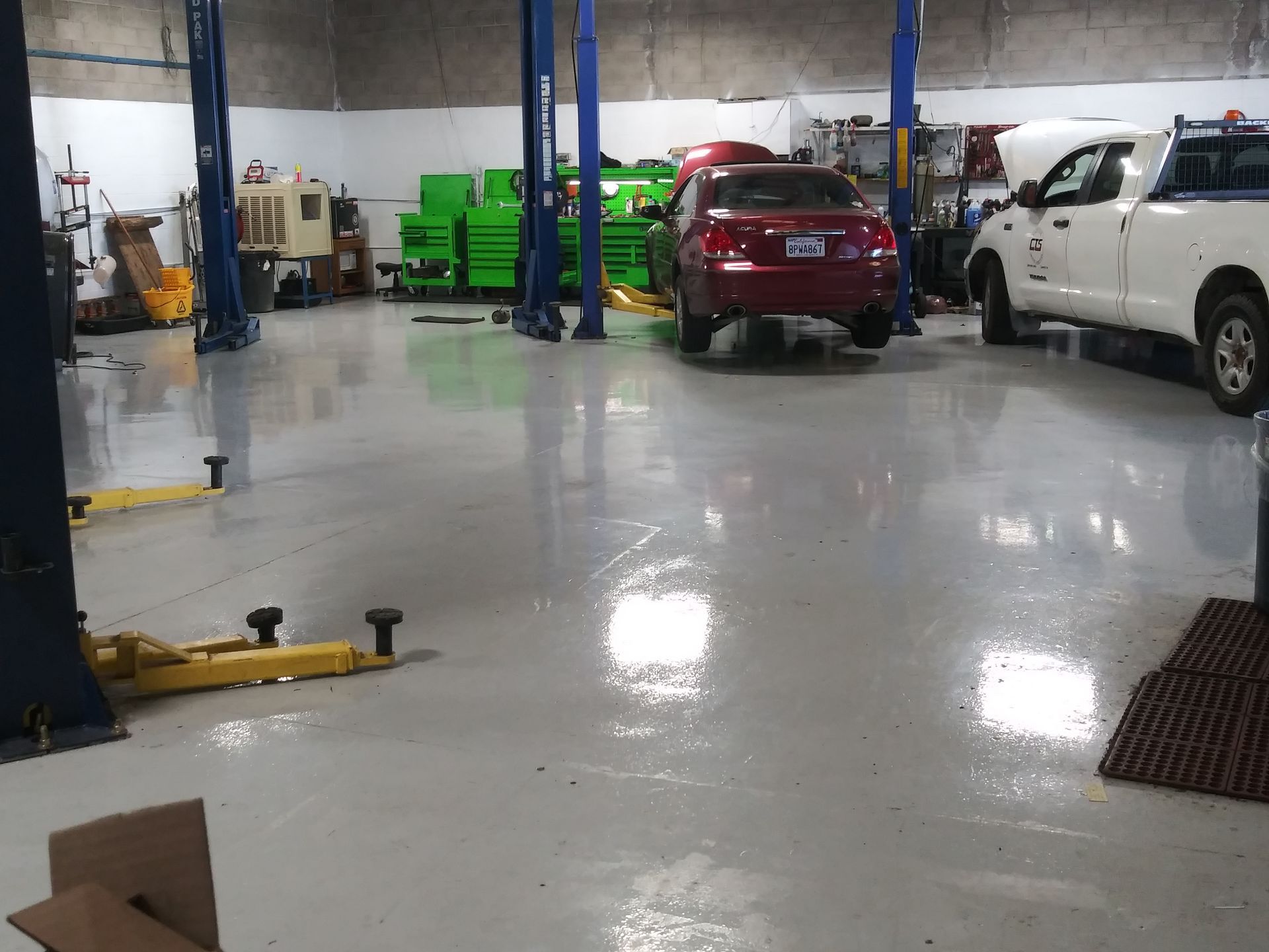 Gallery | Polar Bear Auto Care