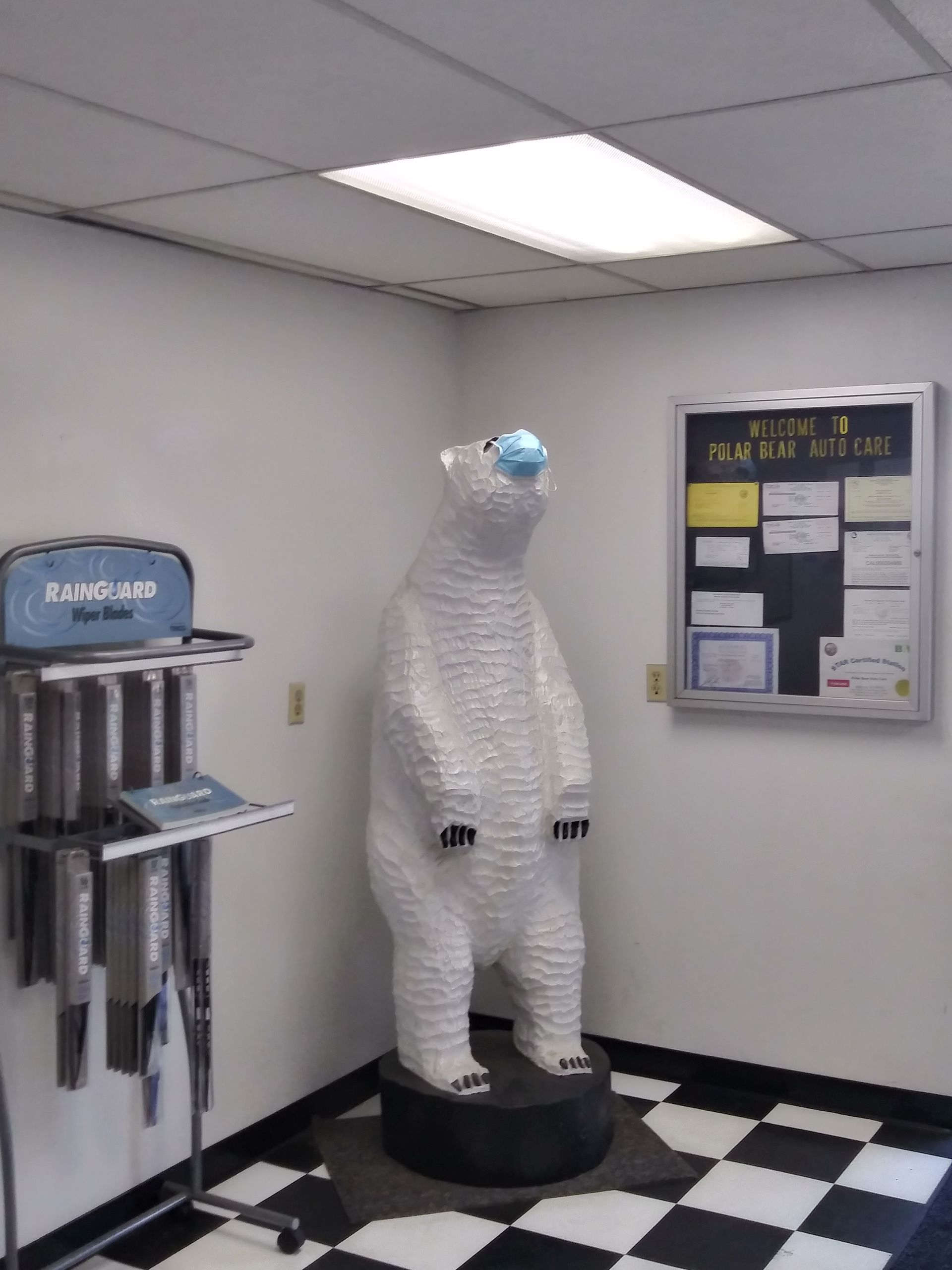 Gallery | Polar Bear Auto Care