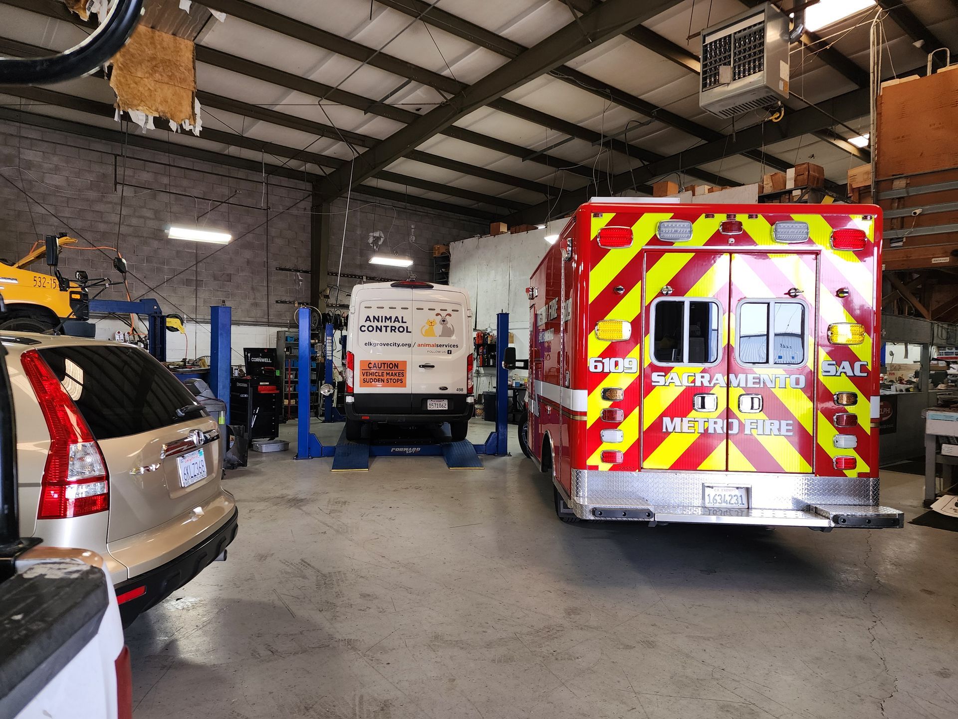 Gallery | Polar Bear Auto Care