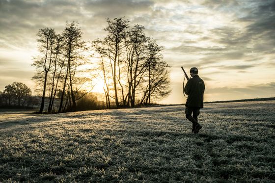 Hunter walking across a frosted field, holding a rifle, with bare trees and a sunrise in the background.