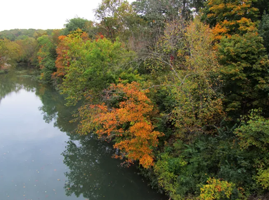 A river surrounded by trees with colorful leaves on a cloudy day.