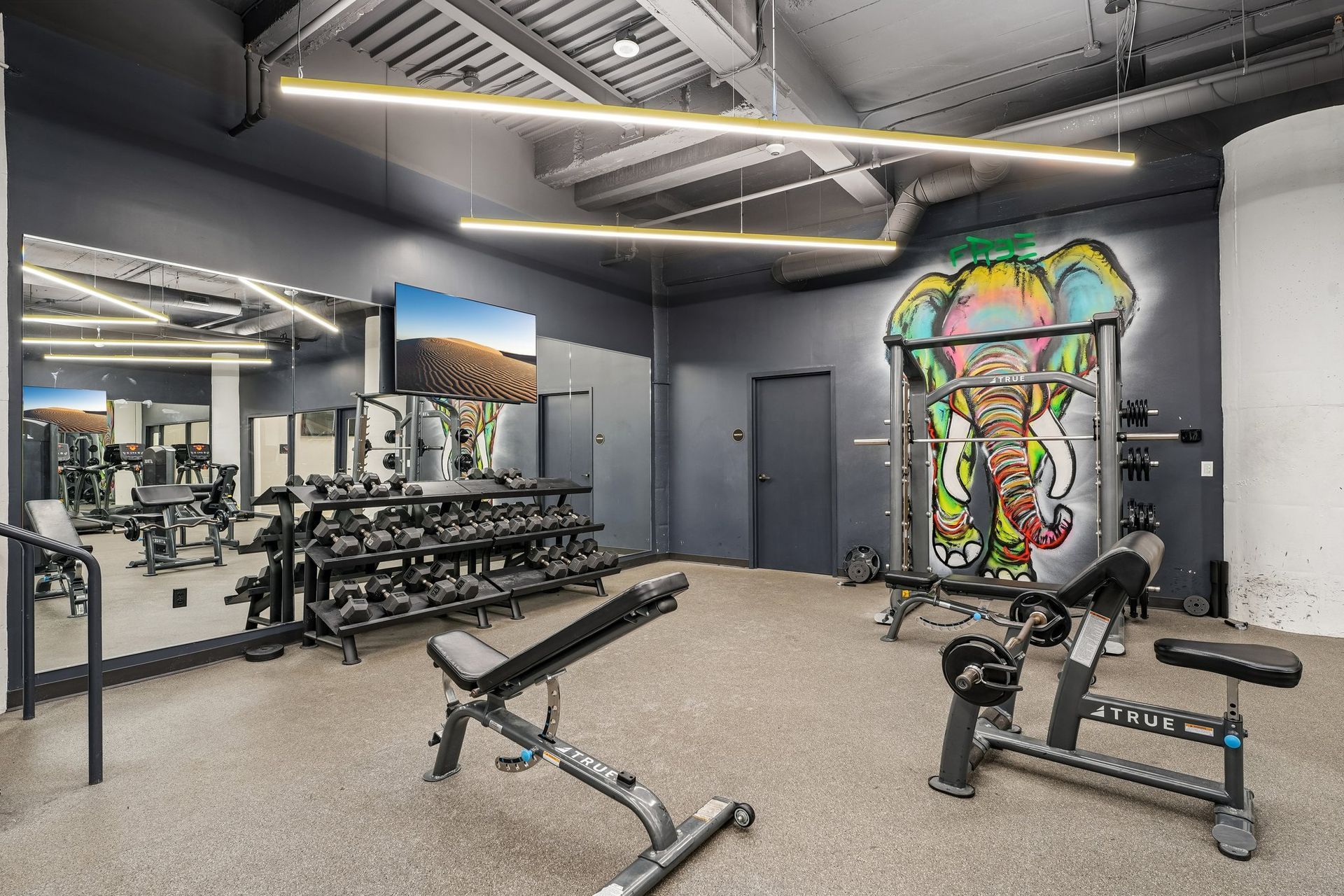 Modern gym interior with weight benches, dumbbells, mirrors, and colorful graffiti wall art at Terminal 21, a premier apartment community in Downtown Pittsburgh, Pennsylvania.