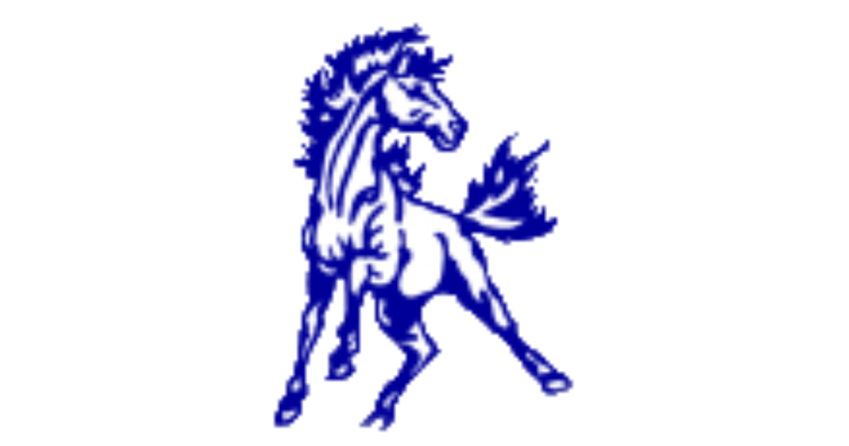Understanding the Emery County School District Governance and Operations
