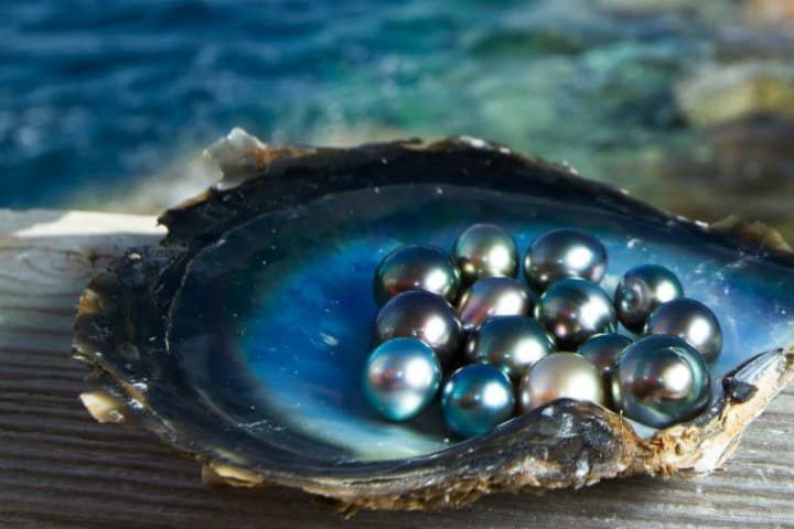 Perlas oscuras en una concha con bordes azules, sobre un fondo oceánico borroso.