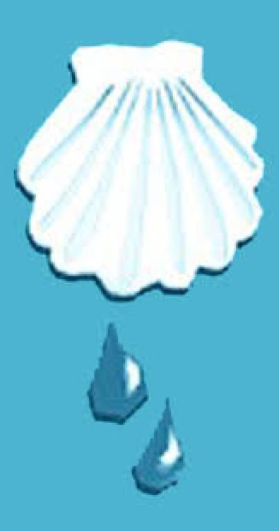 White seashell icon above two blue water drops on a turquoise background